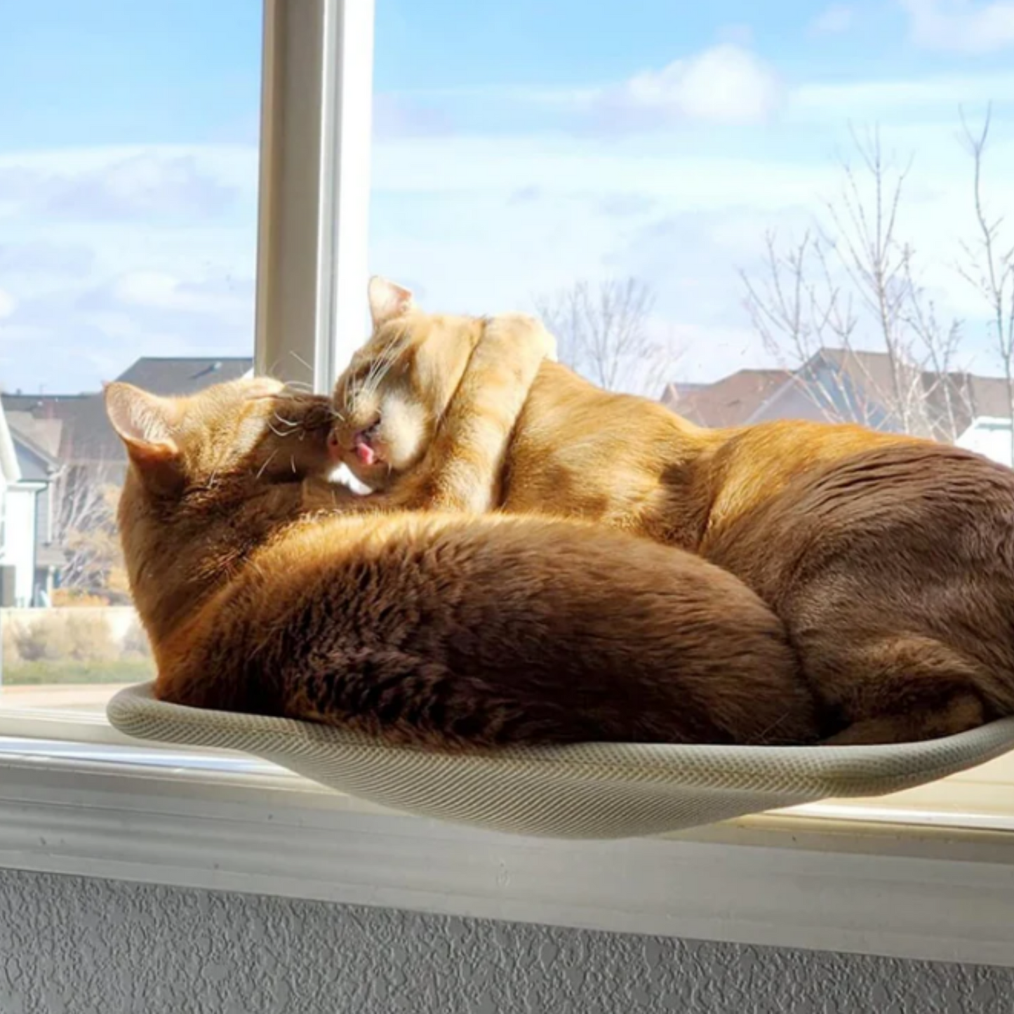 Kattenhangmat | Opvouwbaar en Comfortabel