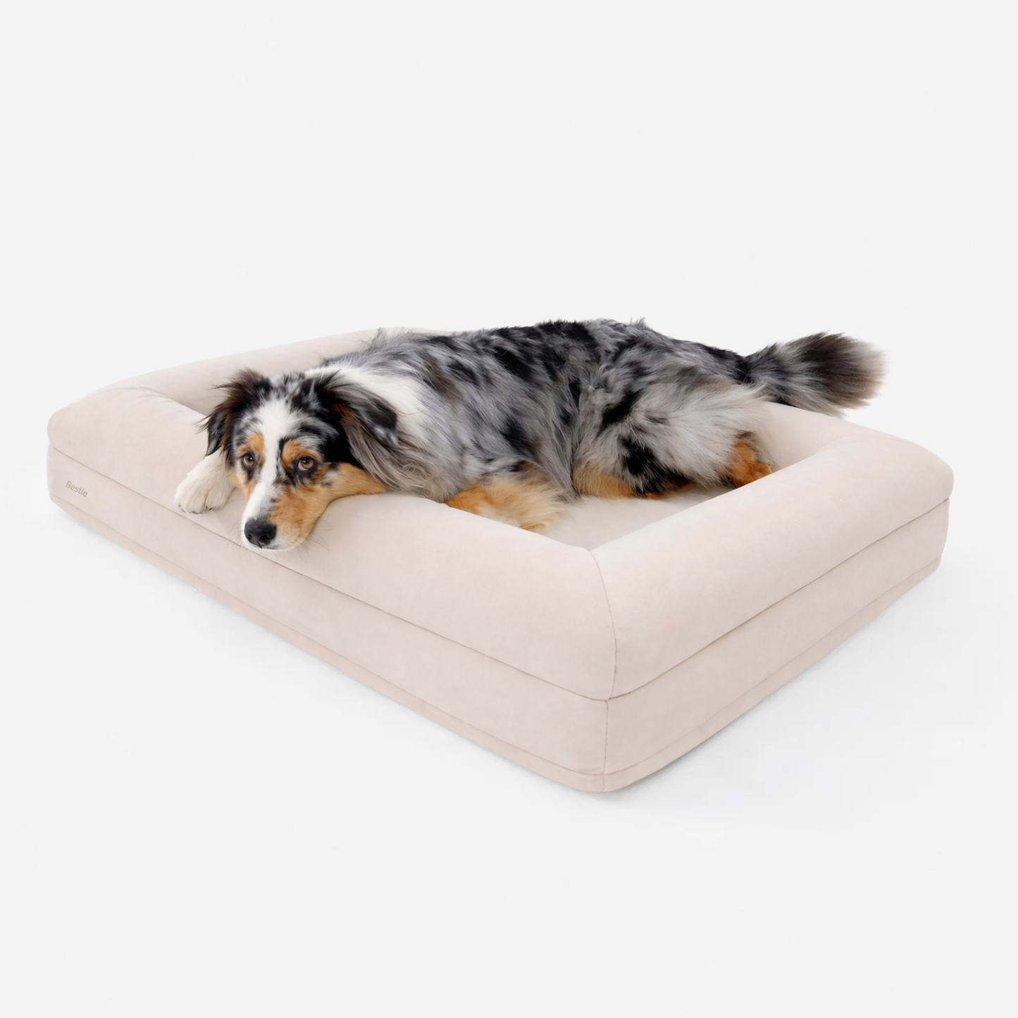 Bestie Bed - Large