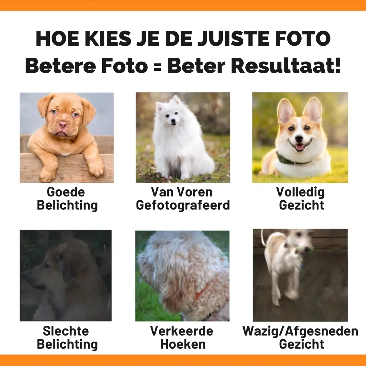 Gepersonaliseerde hondenspeelgoedbox