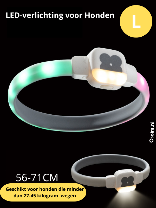 LED-Halsband Voor Honden | Laat Je Hond Stralen In Het Donker