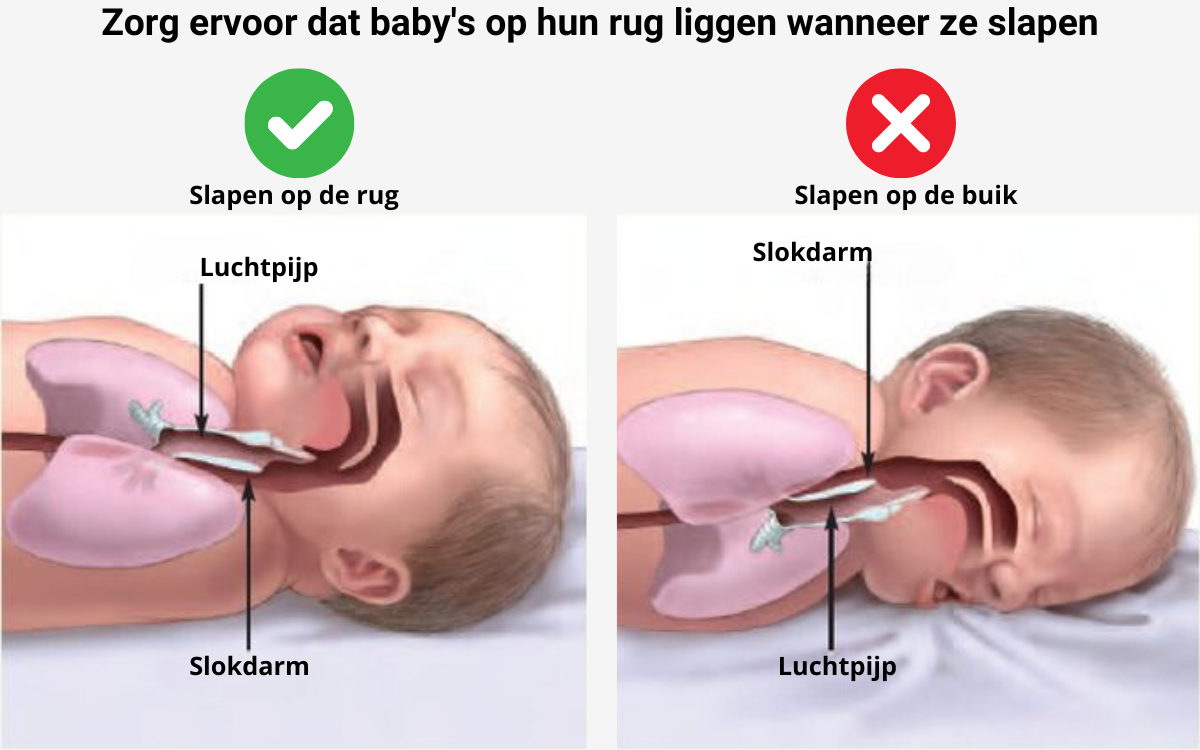 Ondersteuningskussentje | ๐ 1+1 Gratis ๐