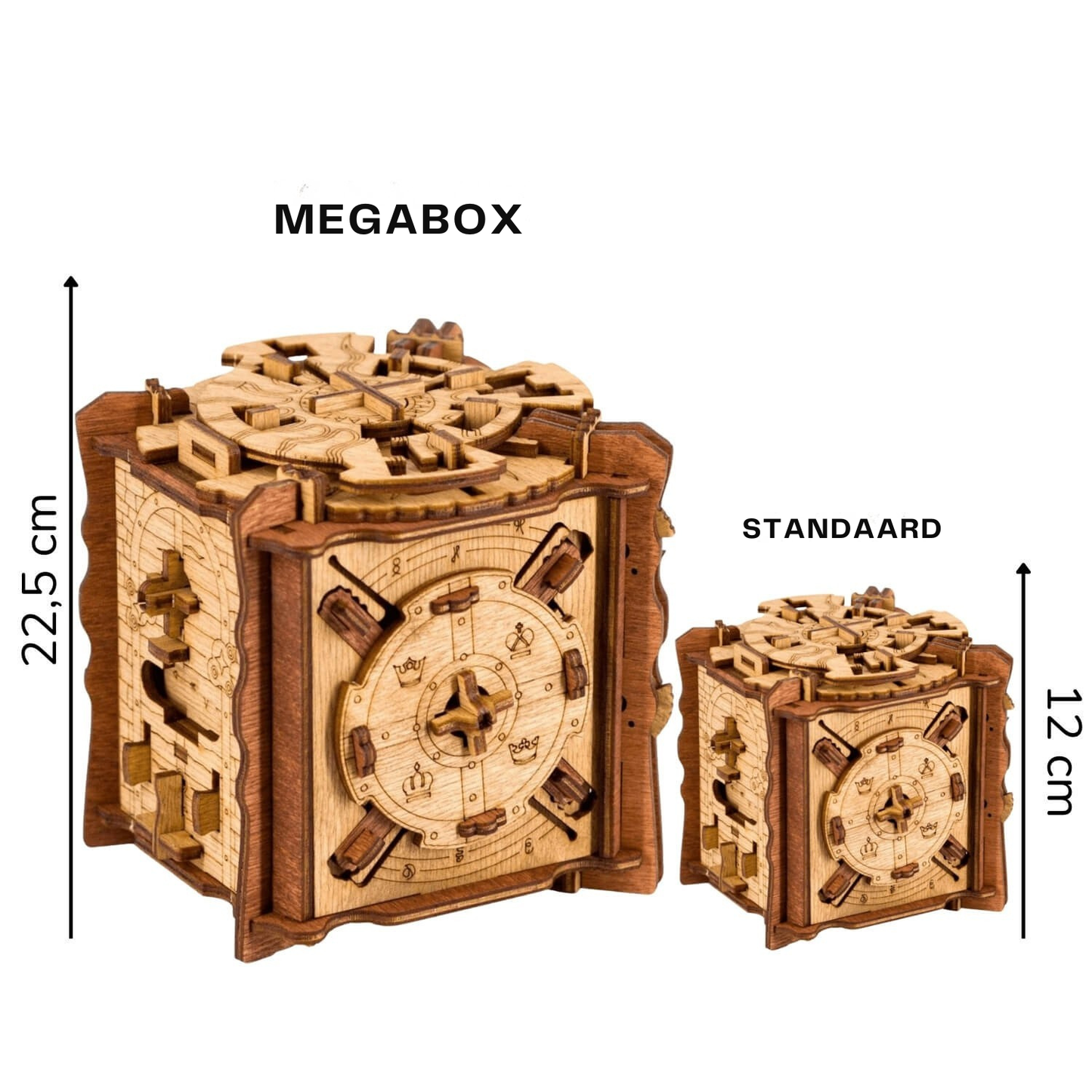 Cluebox The Trial of Camelot