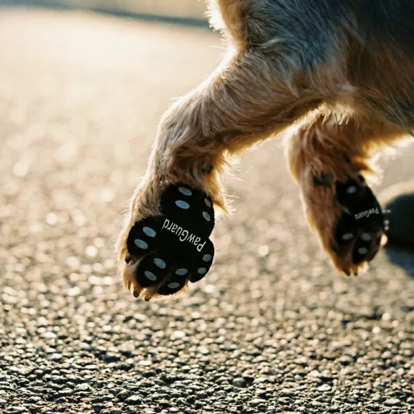 PawGuard | Zelfklevende pootpad