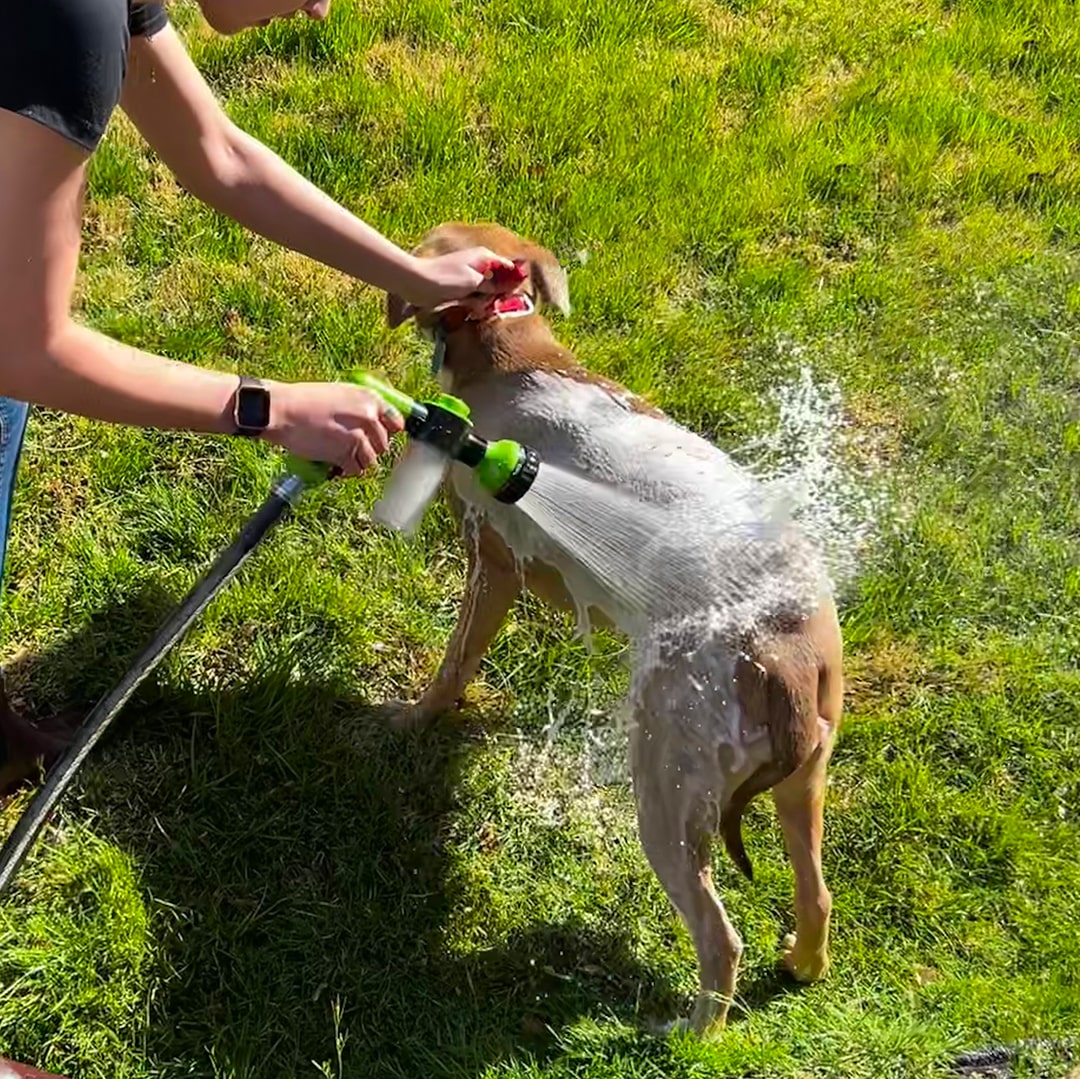 De Pup Jet | Was je hond gemakkelijk!