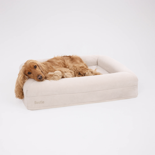 Bestie Bed - Medium