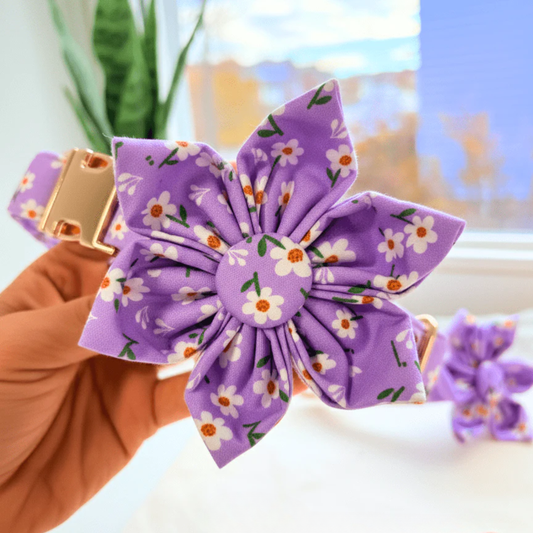BloomPaws | Verstelbare Hondenhalsband - Paarse madeliefje