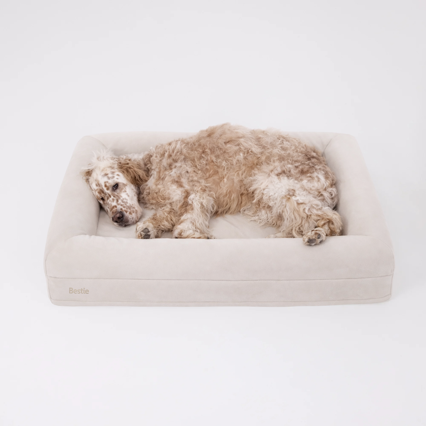 Bestie Bed - Large