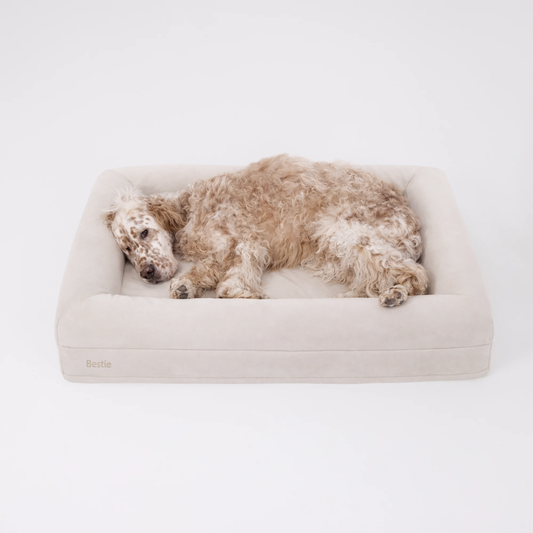Bestie Bed - Large