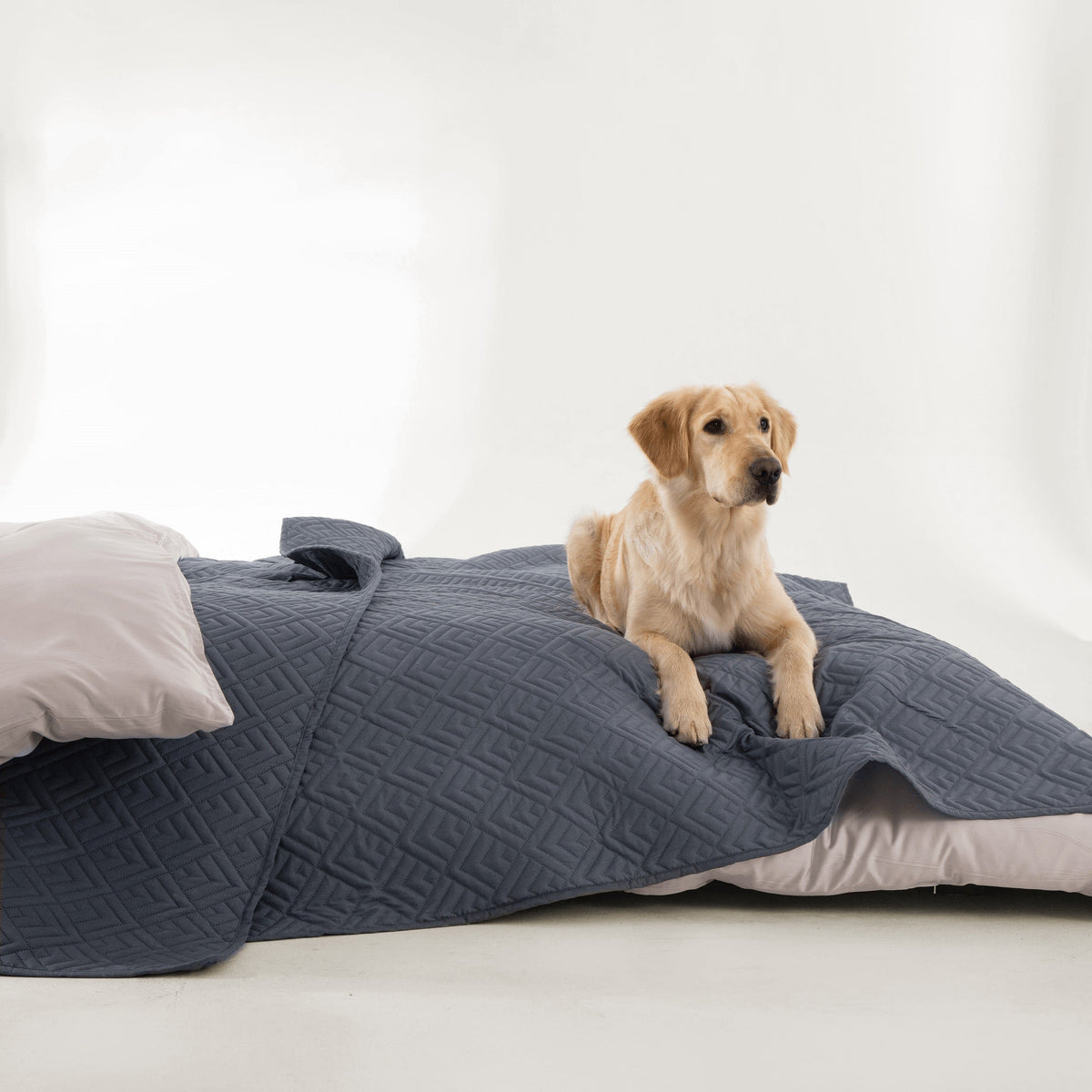 FURRFREE Dekbedset met ruitmozaïekpatroon – Huisdierhaar-afstotend voor gezinnen met honden of katten