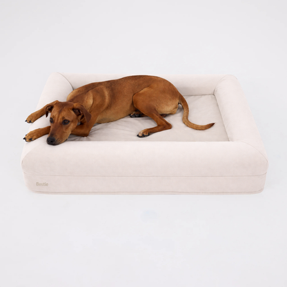 Bestie Bed - Large+