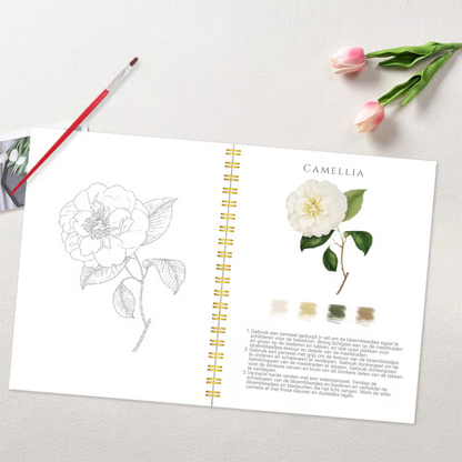 Complete aquarelboekenset – GRATIS aquarelverf en penselen inbegrepen