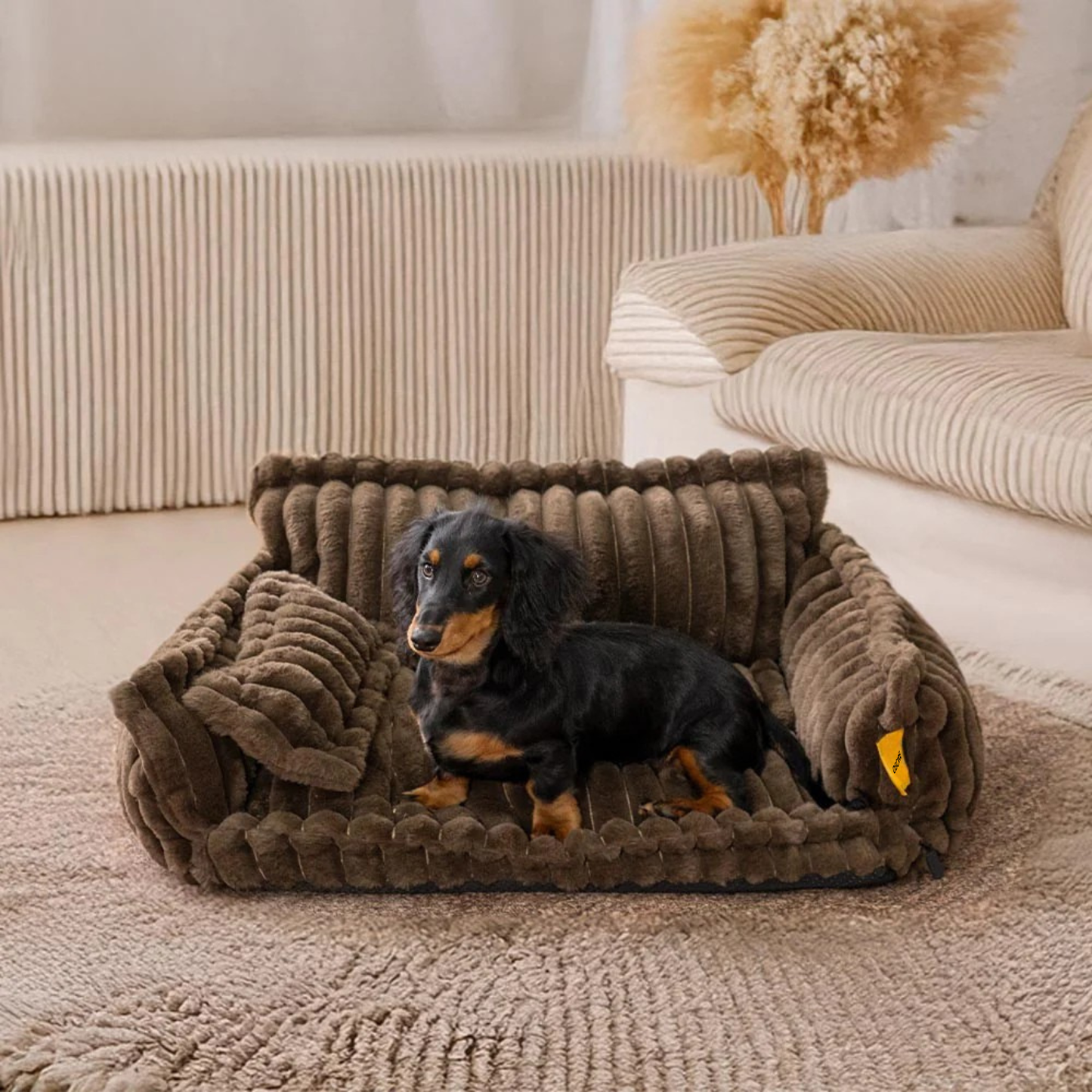 CozyDream | Orthopedische slaapbank