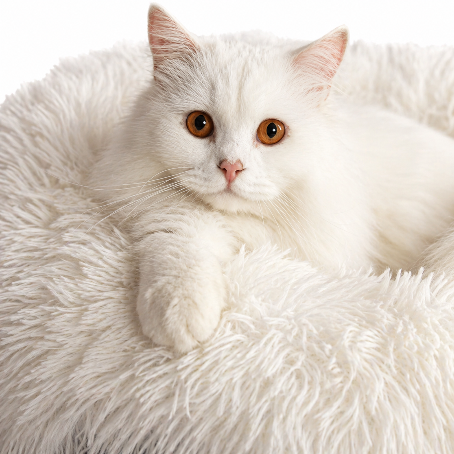 SnugNest | Vilten kattentunnel-kattenbed - Kalmerende donut