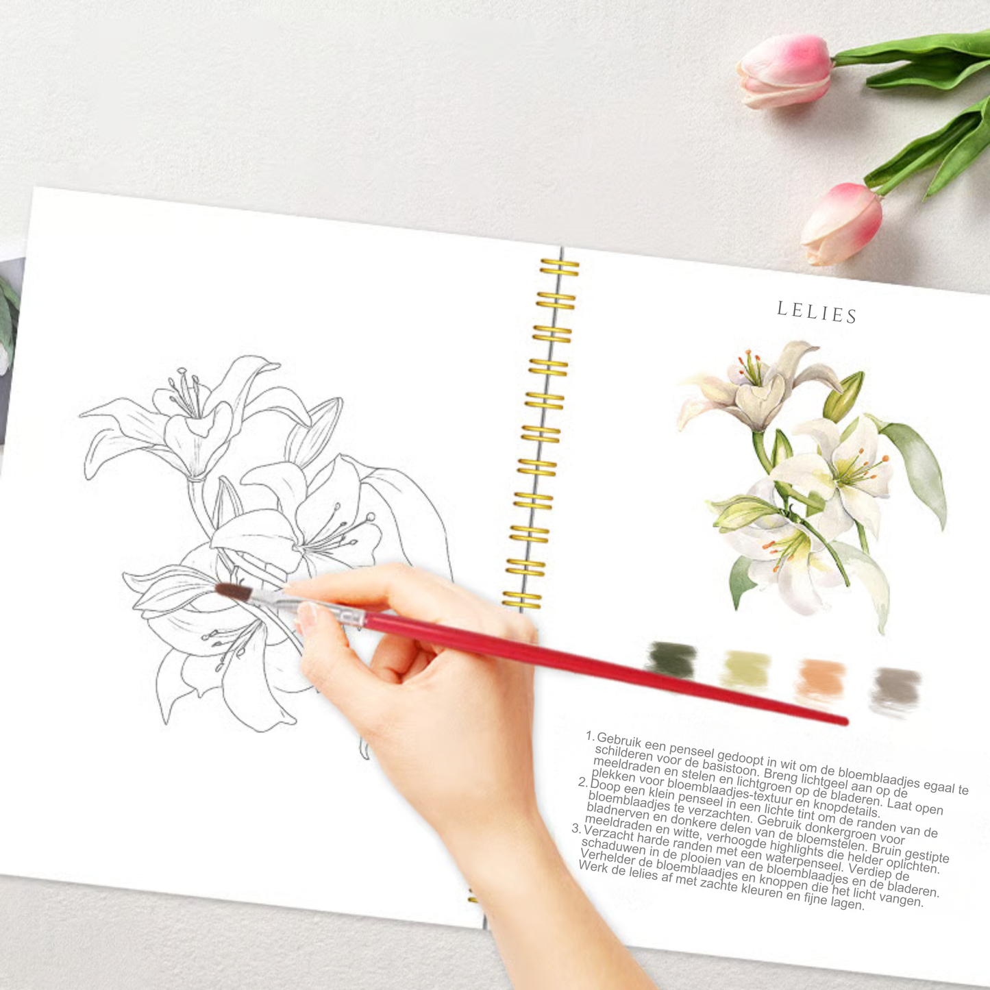 Complete aquarelboekenset – GRATIS aquarelverf en penselen inbegrepen