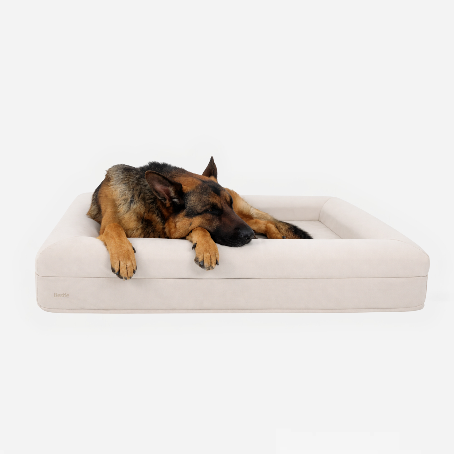 Bestie Bed - Large+