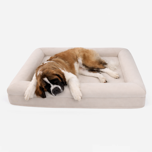 Bestie Bed - Extra Large