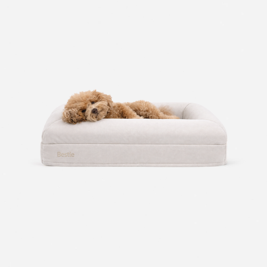 Bestie Bed - Small