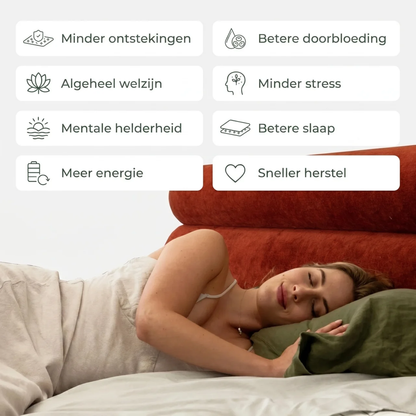 RestEase | Aardings-slaapsysteem