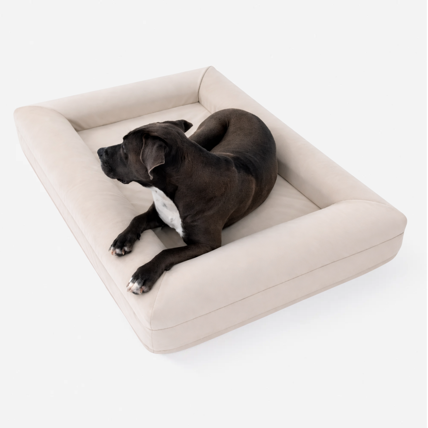 Bestie Bed - Large+