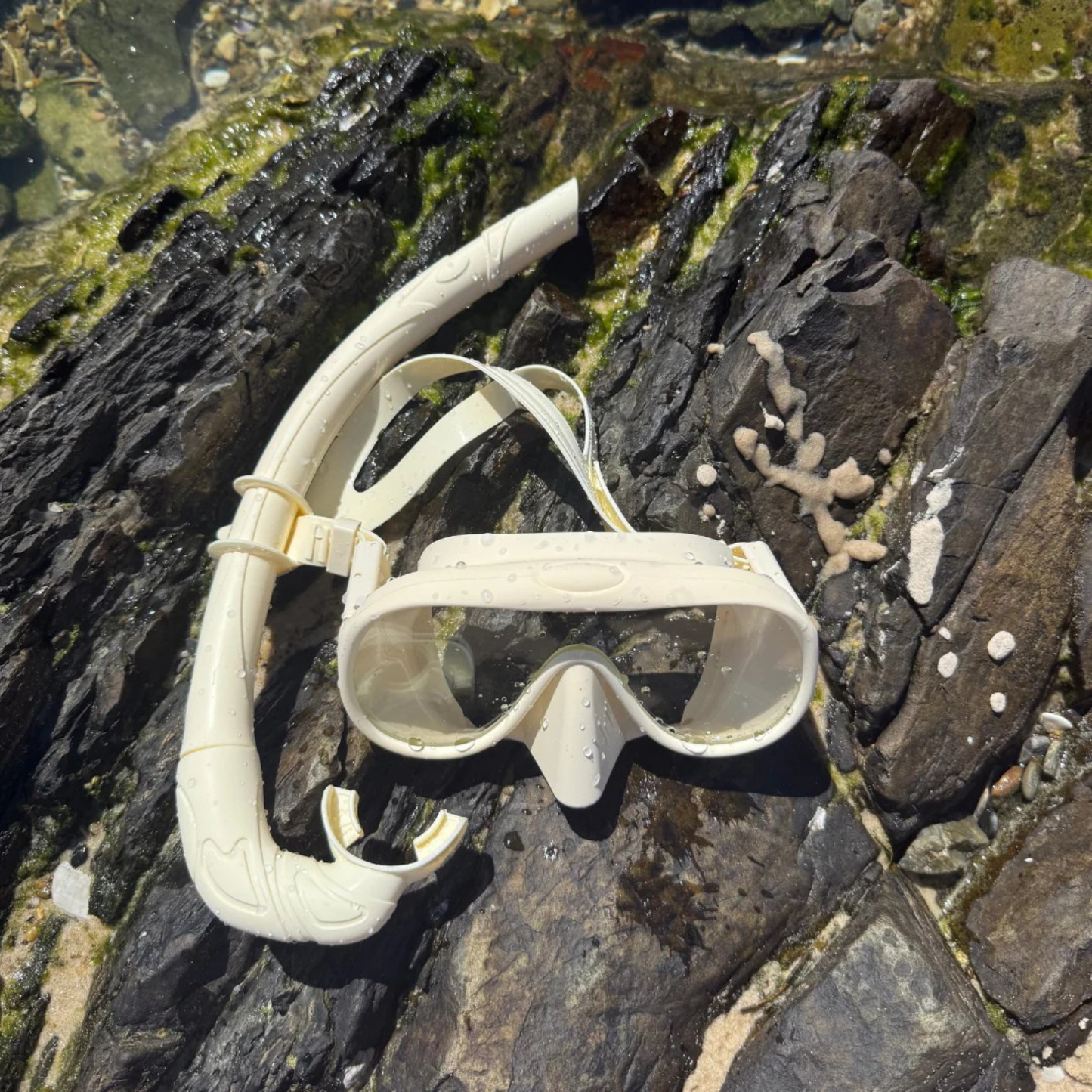 SoftWave | Full face snorkelmasker