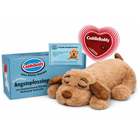 Kleine Rassen- Biscuitkleur