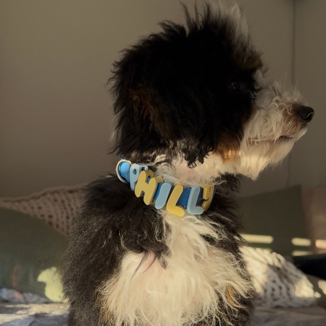 BestieCollar | Persoonlijke Hondenhalsband