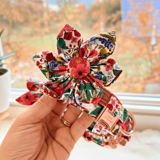 BloomPaws | Verstelbare Hondenhalsband - Ochtend bloemen