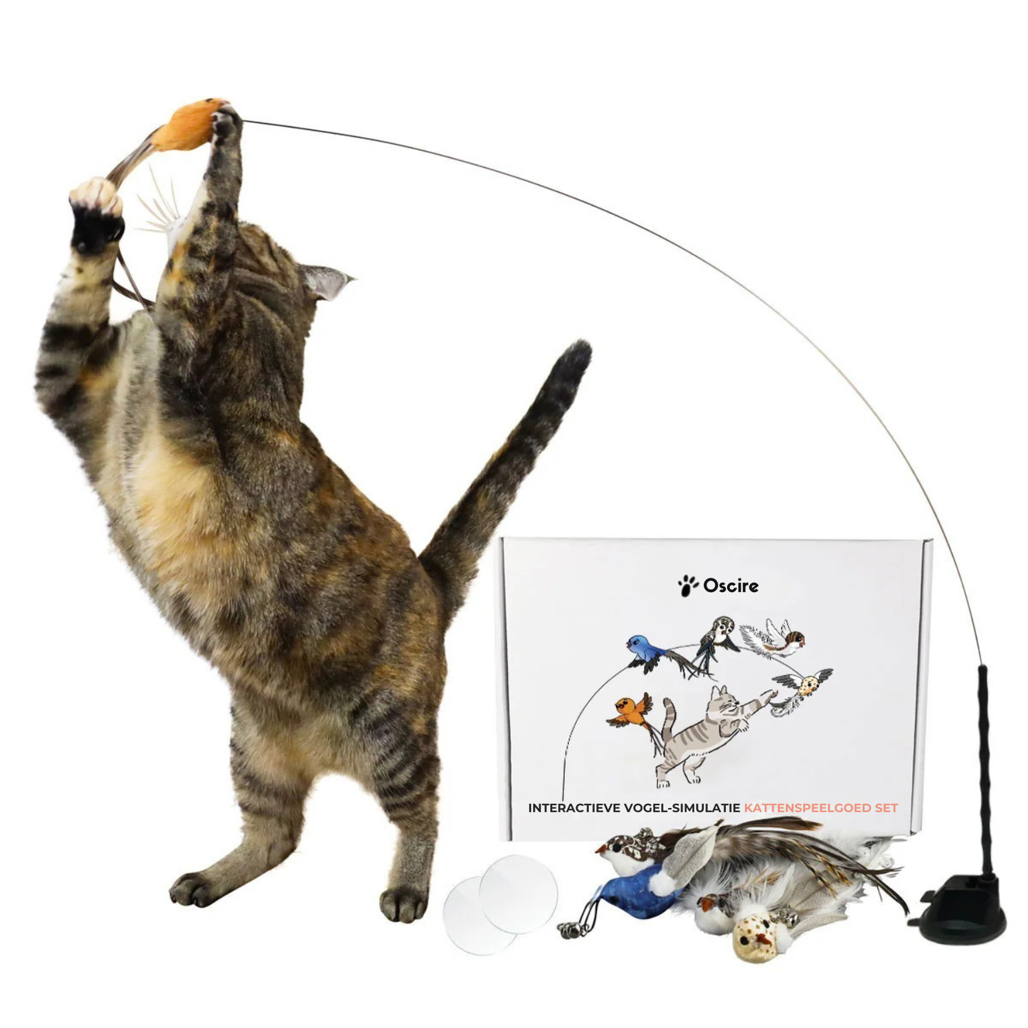 Interactieve Vogelsimulatie Katten Speelgoedset