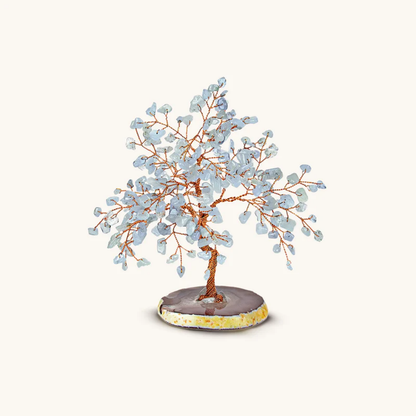 Ontspannende Aquamarijn Feng Shui-boom (Slaapliedje)