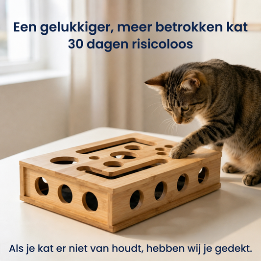 ClawGuard | Beschermt meubels effectief tegen krabben en beschadigingen