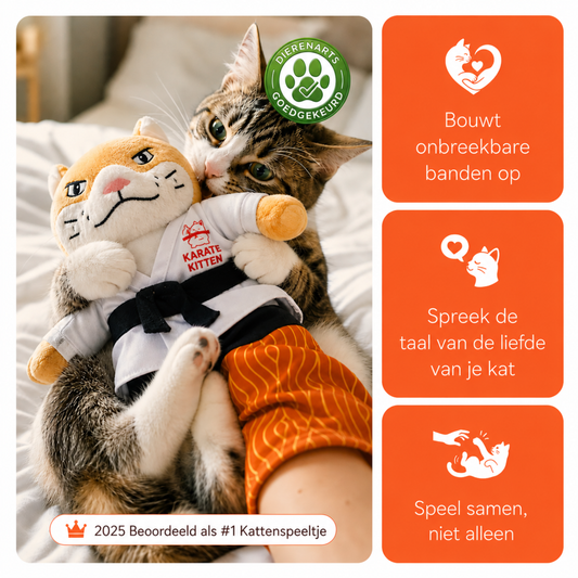 KarateKitten | Interactief kattenspeelgoed