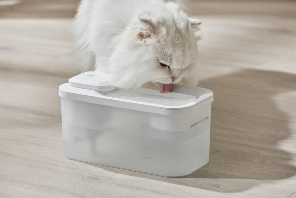 Draadloze Drinkfontein voor Katten – Stil & Gefilterd Water