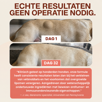 VitaBiome | Turkey tail-probioticum voor honden