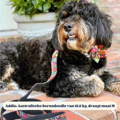 BloomPaws | Verstelbare Hondenhalsband - Middernacht bloemen