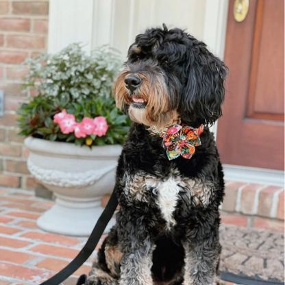 BloomPaws | Verstelbare Hondenhalsband - Middernacht bloemen