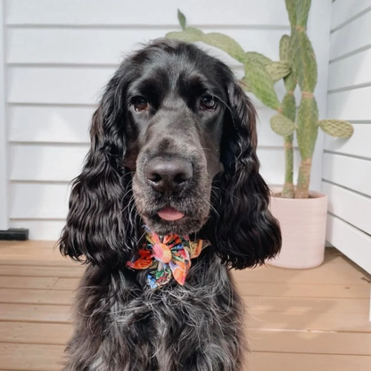 BloomPaws | Verstelbare Hondenhalsband - Middernacht bloemen