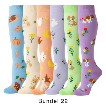 Colorify | Kleurrijke compressiekous (6 paar)