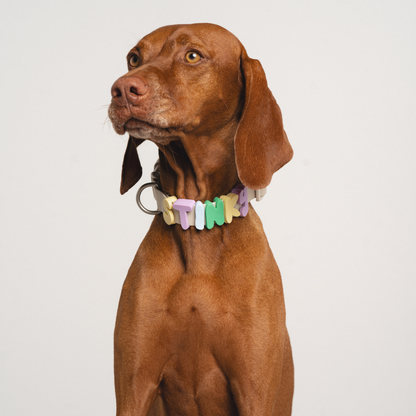 BestieCollar | Persoonlijke Hondenhalsband