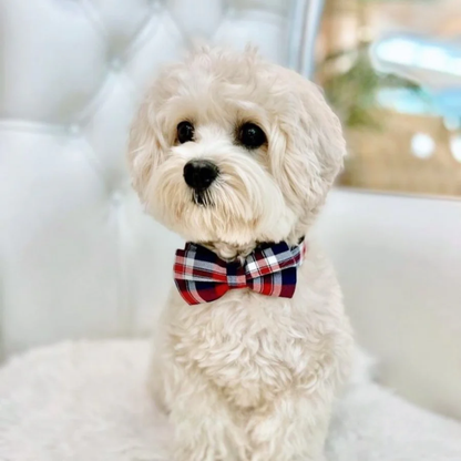 DapperPaws | Hondenhalsband met vlinderdas - Rode Schotse Ruit