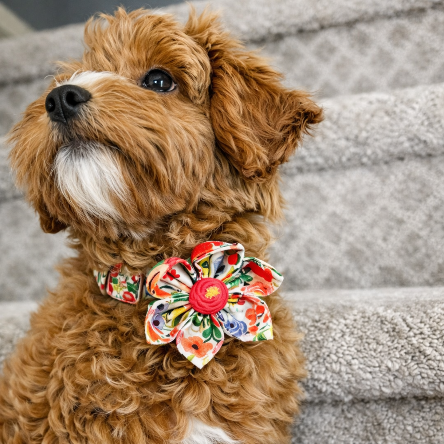 BloomPaws | Verstelbare Hondenhalsband - Ochtend bloemen
