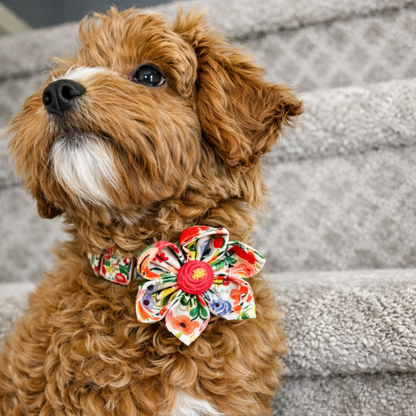 BloomPaws | Verstelbare Hondenhalsband - Ochtend bloemen