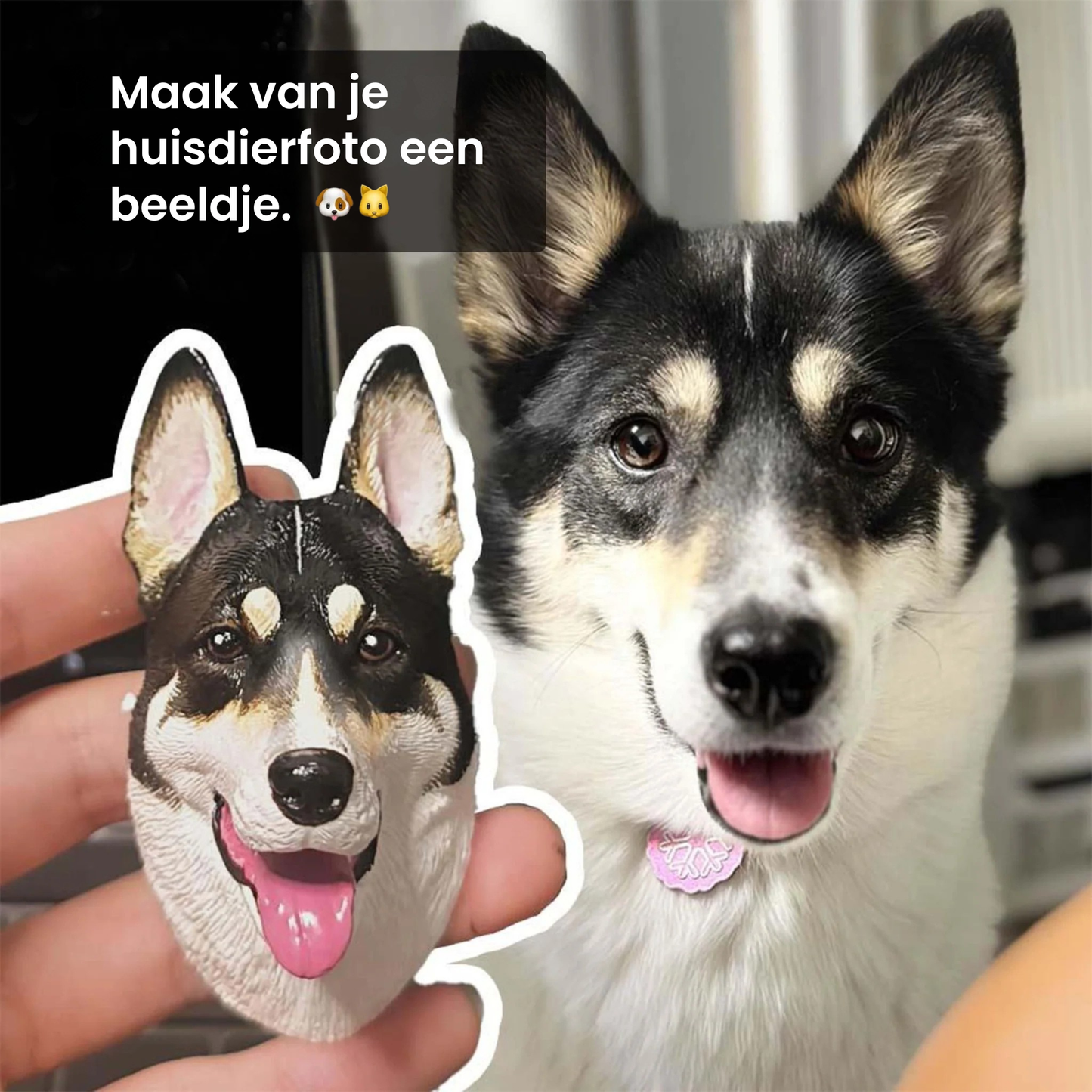 FiguraPet | Gepersonaliseerde Huisdier Magneet
