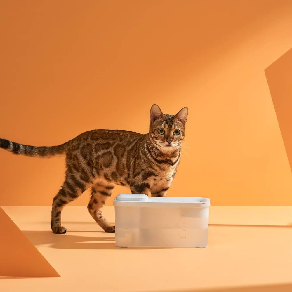 Draadloze Drinkfontein voor Katten – Stil & Gefilterd Water
