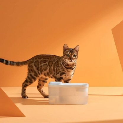 Draadloze Drinkfontein voor Katten – Stil & Gefilterd Water
