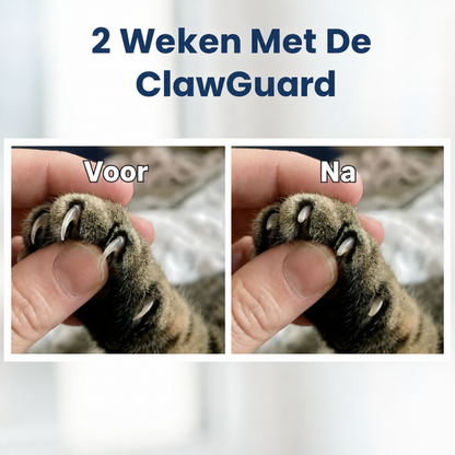 ClawGuard | Schuurpapier nagelvijl-speeltje