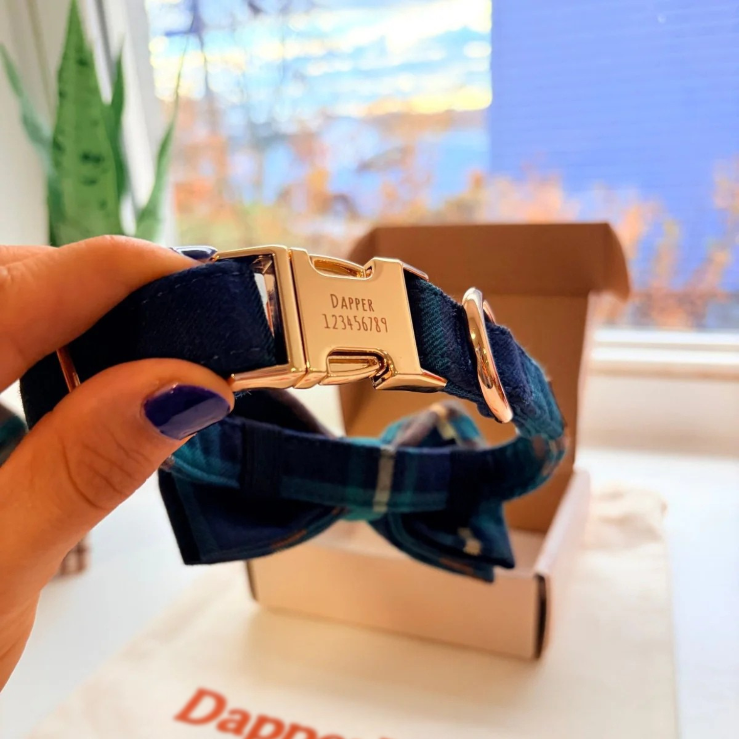 DapperPaws | Hondenhalsband met vlinderdas - Heertje