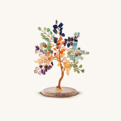 Feng Shui-boom voor kracht en groei (chakra)