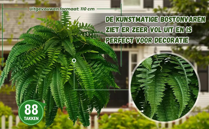 Leaflush | Botanische Perfecte Boston Varen