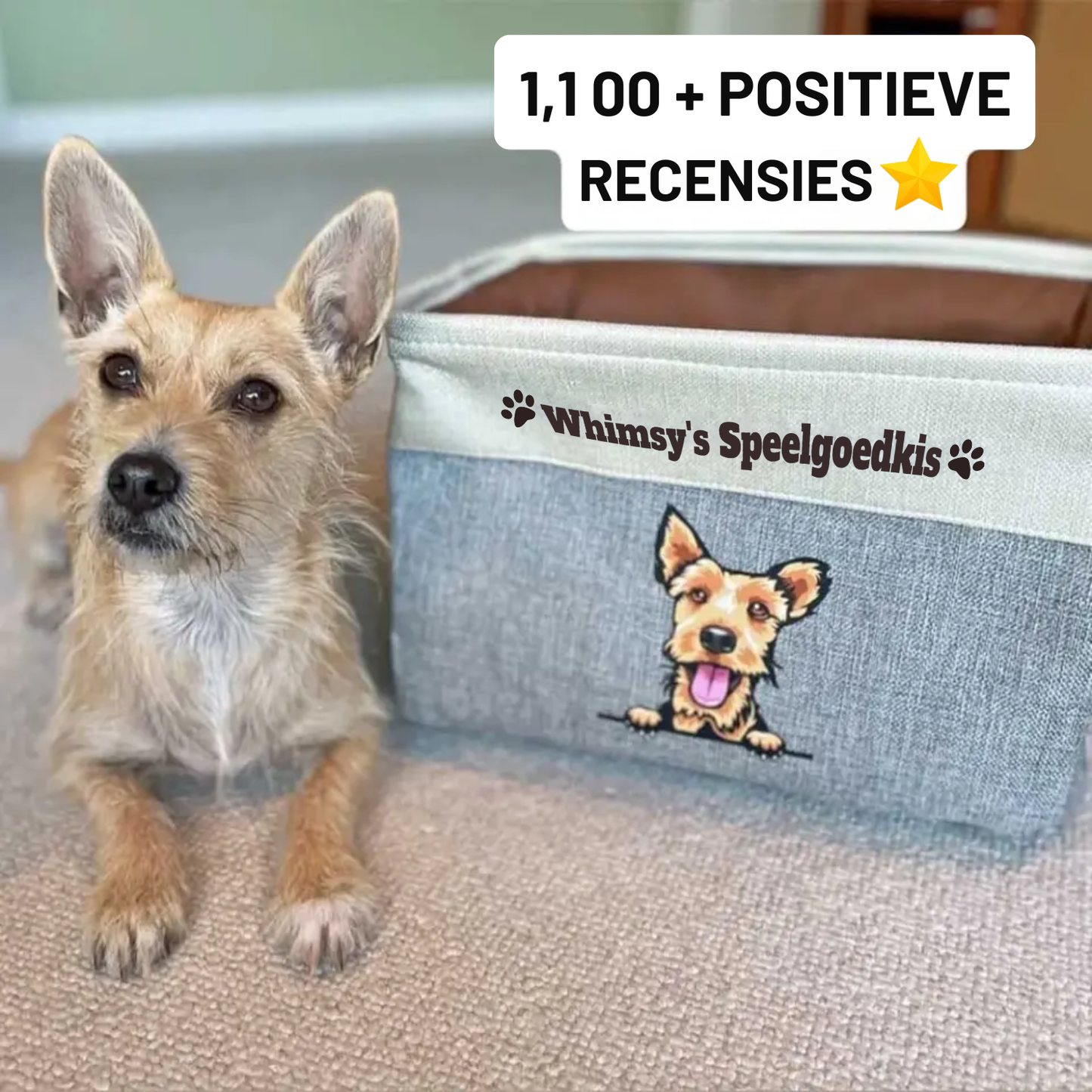 Gepersonaliseerde hondenspeelgoedbox