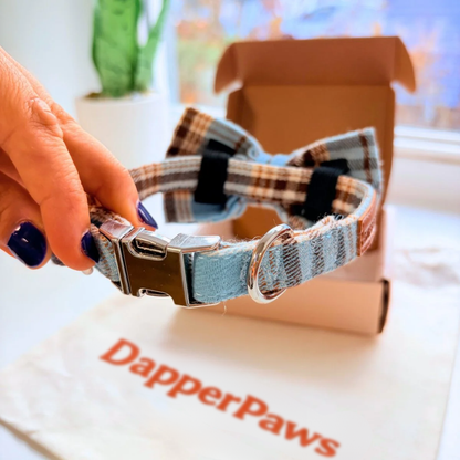 DapperPaws | Hondenhalsband met vlinderdas - Blauw teddyruit